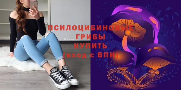 амф Дмитровск